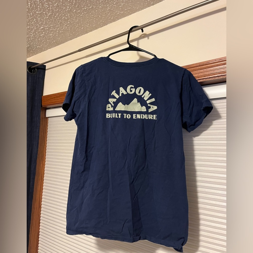 Patagonia Built to Endure Organic Cotton Tshirt